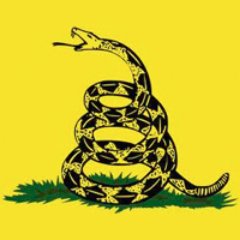 1776FREEDOMNOW Profile Picture