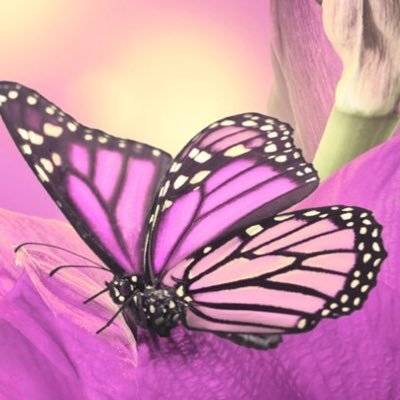 tsong01's profile picture. 