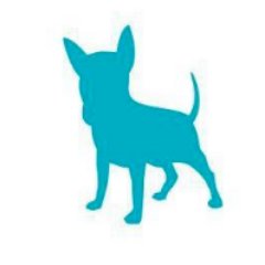 Pawfect_petsbs's profile picture. Book An Appointment With Us! Your Fur Baby Will Thank You!
 https://t.co/VwLNzjZPiZ