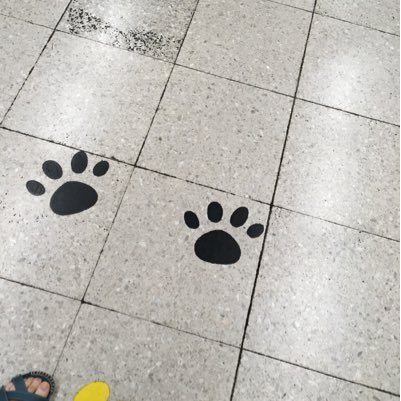 2012年6月17日…ワタクシは、出逢っては、いけない人に出逢ってしまいました😂20年以上培ってきたモノが一瞬にして、崩れ堕ちてしまいました。BUCK-TICK狂ですが、石井秀仁キ○ガイです。…業火IGでしたが、最近は、DARRELLを頑張っております✨猫も大好き💕です。