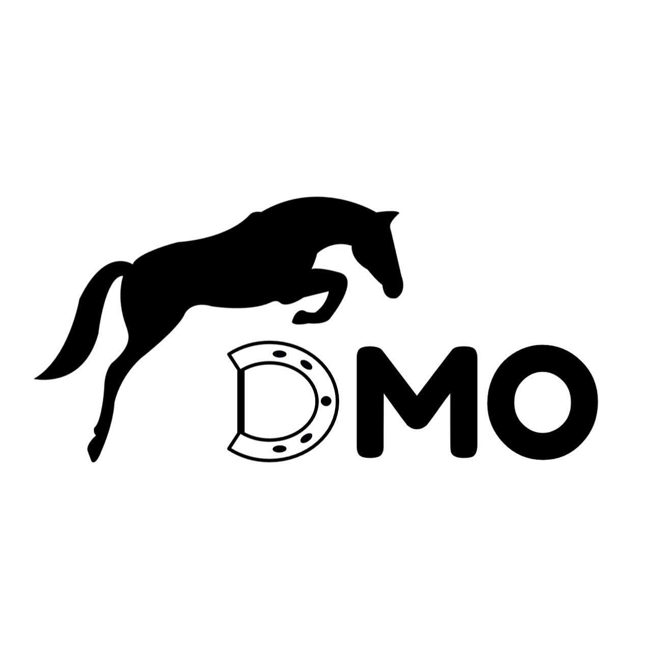 Mi pasión es montar caballos y hacer que estos a través del cariño, la constancia y el entrenamiento logren mostrar la calidad que tienen