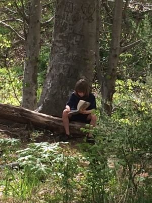 HermitSpeaks's profile picture. Enjoy the ride don't try to work it out, everlasting evolution is the unknown achievement.