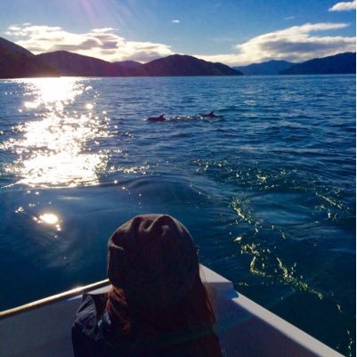 chari1283's profile picture. 