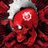 GearsFan3790's profile image