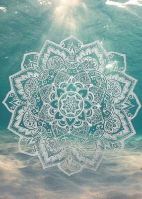 claudia_zaccara's profile picture. I love being a Cobbler, making people feel special through this age old craft feeds my soul.