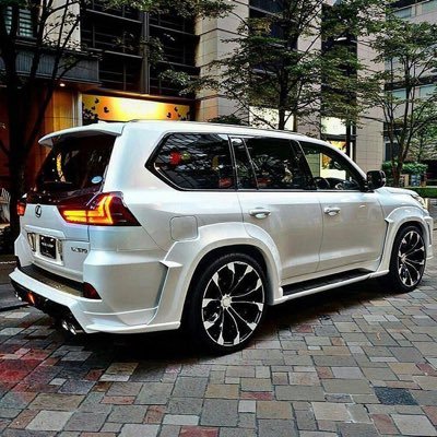 MAl3bed's profile picture. 