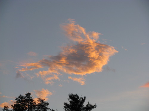 skipowder's profile picture. 