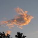 chip diamond - @skipowder - Twitter