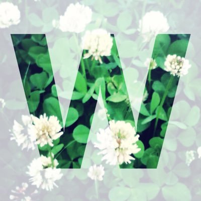 wavisavi (@wavisavi) / X