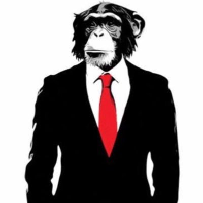 MonkeyRec500's profile picture. Swiss based #Recruitment start up. One price, £500.