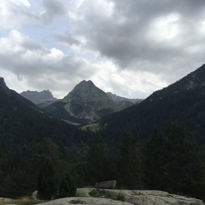 maciallorens's profile picture. 