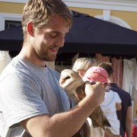 Michael Schächi (@schaechi) 's Twitter Profile