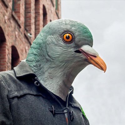 Pakcahafoutr's profile picture. J'débarque