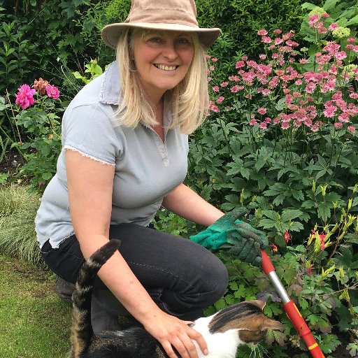 I'm an imaginative garden designer and passionate plant-aholic who loves creating beautiful gardens. I nearly forgot RHS gold medal winner as well.