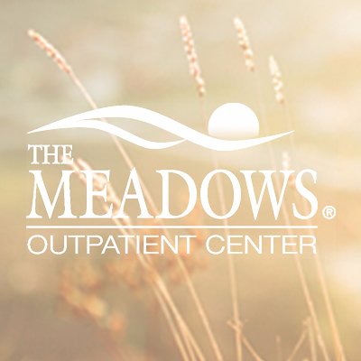 MeadowsIOP's profile picture. Designed to reinforce the recovery skills for those dealing with complex emotional trauma, addiction issues, and to reunite families.
