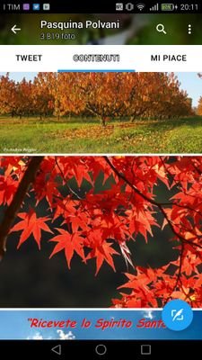 giusandra's profile picture. 