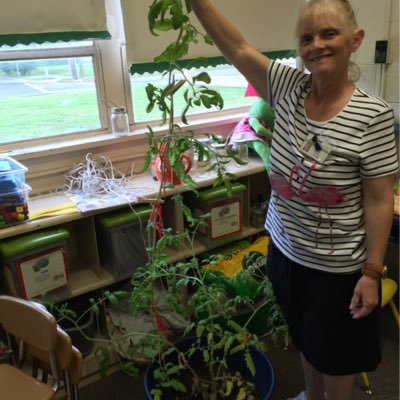 Talley18Debra's profile picture. MARS PreK 4 Teacher at Berkley Campostella Early Childhood Center in Norfolk Virginia. ConnectEd Teacher.  Loves Science.  Daymac Weather Station coming soon.