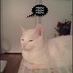 chingcat (@chingcat) Twitter profile photo chingcat (@chingcat) Twitter profile photo