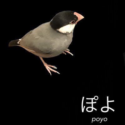 poyochansakura's profile picture. ぽよ2020.9.7🌈 ふく7歳