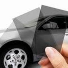 iProShield's profile picture. 