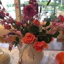 Gail Shepherd - @Gail_Shepherd - Twitter