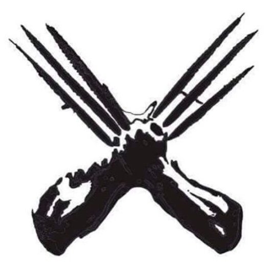 CSCMListaX's profile picture. Lista candidata à associação de estudantes do Colégio do Sagrado Coração de Maria (2016-2017)