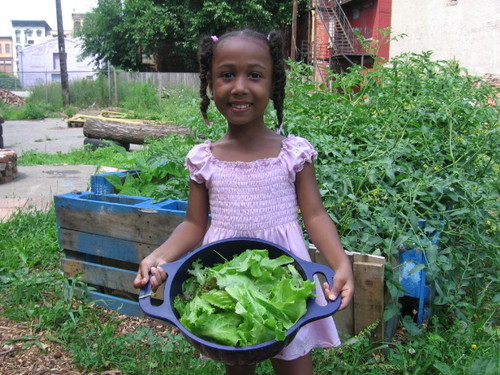 OTR Homegrown Grew Organic Vegetables on City Owned Lots in Cincinnati To Provide Food, Seeds & Educate New Generations to Organically Grown Food