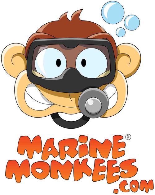Marine Monkees