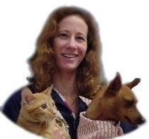 petvet87's profile picture. Mobile House Call Veterinarian specializing in quality care for cat and dog family members