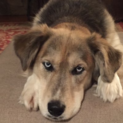 ccfritts's profile picture. 