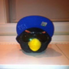 bobertelevator's profile picture. 