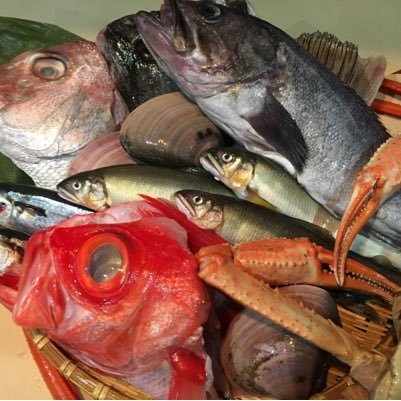 魚菜酒笑 吉 国分寺 居酒屋 魚 魚菜酒笑 吉 国分寺居酒屋 日本酒 魚菜酒笑 吉 魚 国分寺吉 新湊 富山 魚屋だけど 豚足ですww 湯がいてから スープで少し煮て 骨を外して煮凝り状に ビールに是非