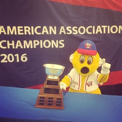 One of two official mascots of the @wpg_goldeyes | Appearance requests: tara@goldeyes.com | Instagram: Goldie_94