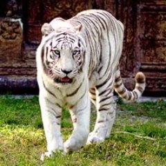 zaura07's profile picture. #Взаимныйфолловинг  #RuFollowMe  #FollowBack   #RuFollowMe#ВзаимныйФолловинг,  #ЧитаюВзаимно,  #взаимночитаю,   #ЧитайМеняАяТебя,  #взаимнофолловлю,