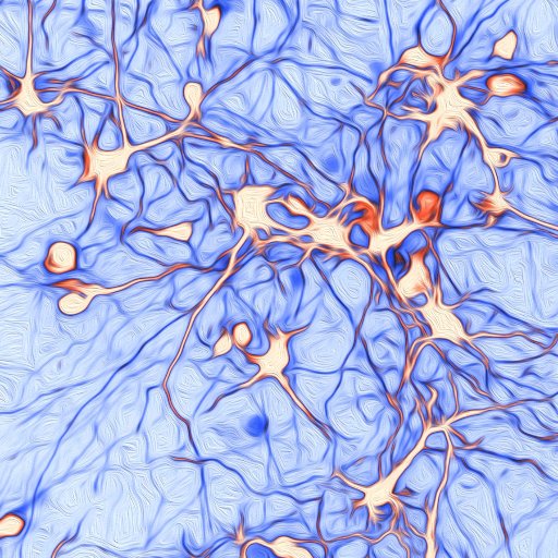 Our lab is interested in understanding the molecular basis of neuronal communication and synaptic plasticity during learning, memory and disease | @QldBrainInst