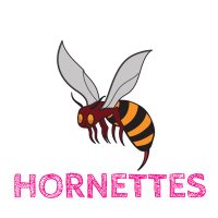 Hornettes Rugby(@hornettesrugby) 's Twitter Profileg