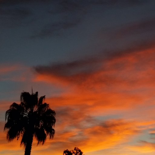 og_diegoboy's profile picture. Cacti in rain forest of SAD/metabolic dysfunction

Father, Garden-Kitchen, Padres, Aztecs & Spicy Smiles

Surf, Seek Truth, Be Kind, Show Grace & Always Respect