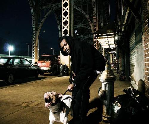 iigloo_Q's profile picture. JOIN ME ON MUSICAL JOURNEYS THRU THE MIND OF MINOLTA..LOL FOR BOOKINGS CONTACT : Q@Qcapitol.com | instagram iam_Qcapitol | VeVo/Youtube Q capitol