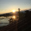 ミニー (@1965620S) Twitter