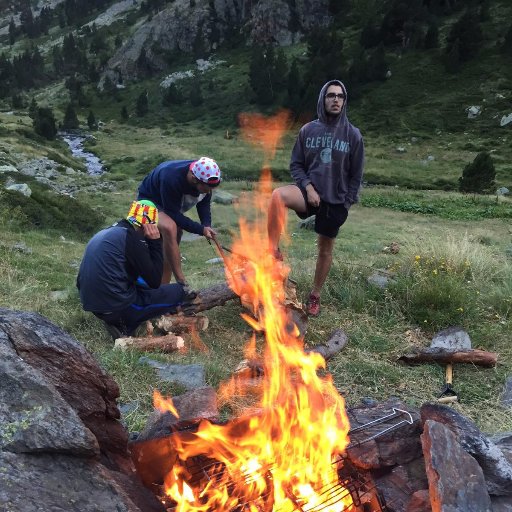 whatoak's profile picture. up up up