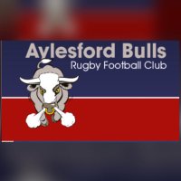 AylesfordBulls_U14's (@u14abrfc) 's Twitter Profile