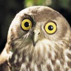 Mannk_the_gamer's profile picture. No