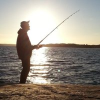 Olavi Haapala 🇫🇮 (@0lpeh) 's Twitter Profile Photo