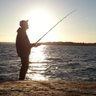 0lpeh's profile picture. Self employed software consultant and lumberjack @iltametsuri. Full-stack developer focusing on web performance and #a11y. Ex @futurice