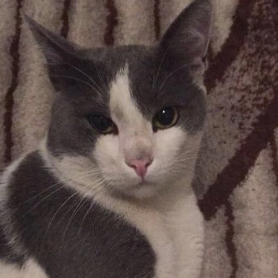 Shaby75's profile picture. 