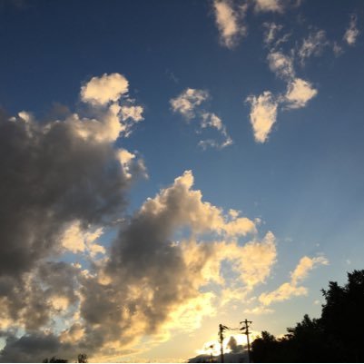 mayumia3's profile picture. 旭川市在住の56歳、バツイチ独身、子供なし 手話通訳士 介護職員で調理員