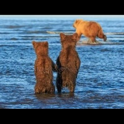 BMiape81TqXPIaA's profile picture. 