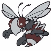 Byron-Bergen CSD (@bbcsdbuzz) 's Twitter Profile