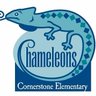 CSE_Chameleons's profile picture. 