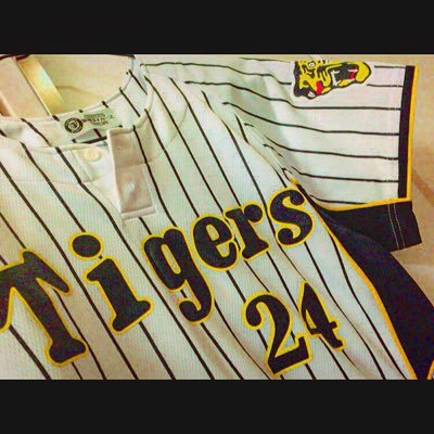 阪神タイガース好きです🐯桧山進次郎は永遠です。#24